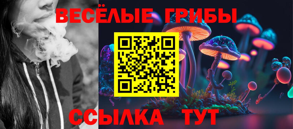 Псилоцибиновые грибы GOLDEN TEACHER Кушва