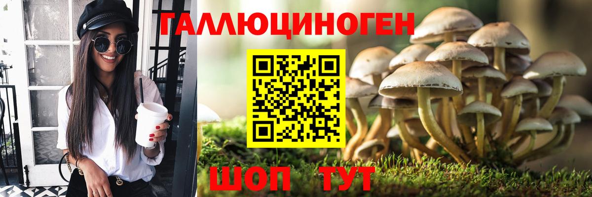 цены   Галлюциногенные грибы GOLDEN TEACHER  Вход с VPN  Кушва 
